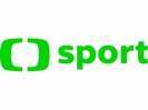 Logo for CT Sport